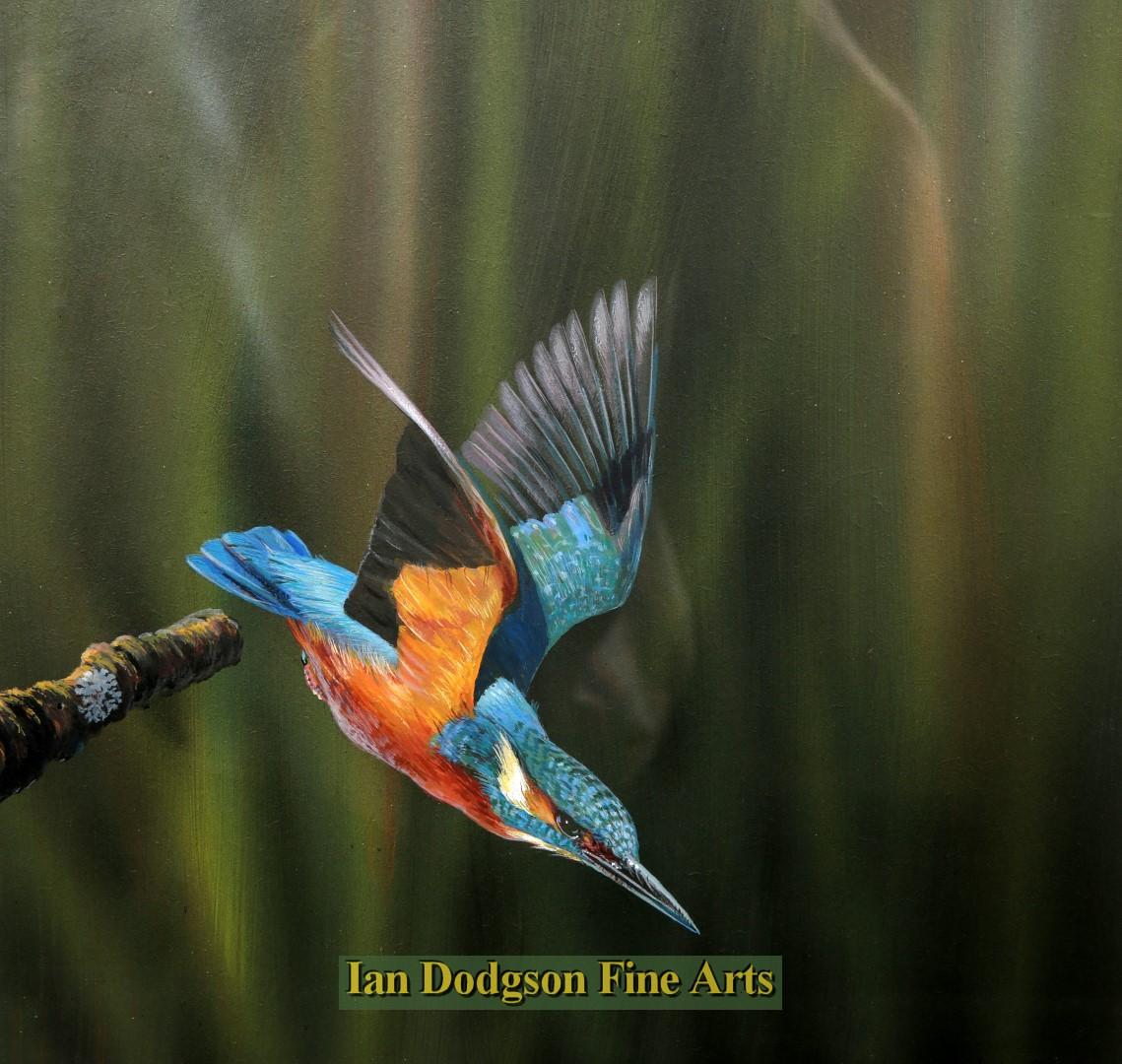The Kingfisher by Richard Duffield