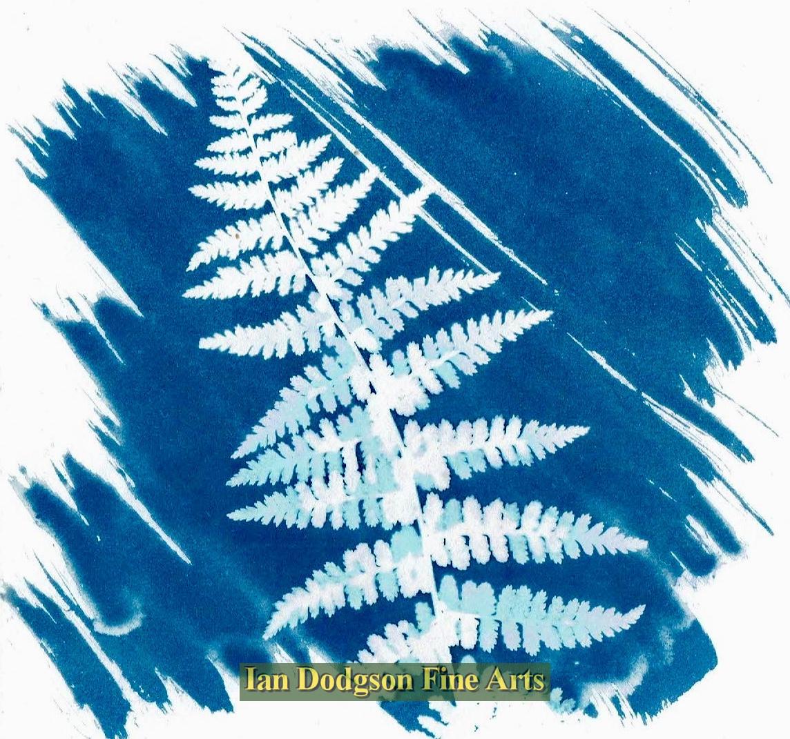Gill Hughes - Fern 4 Cyanotype Monoprint (2018)