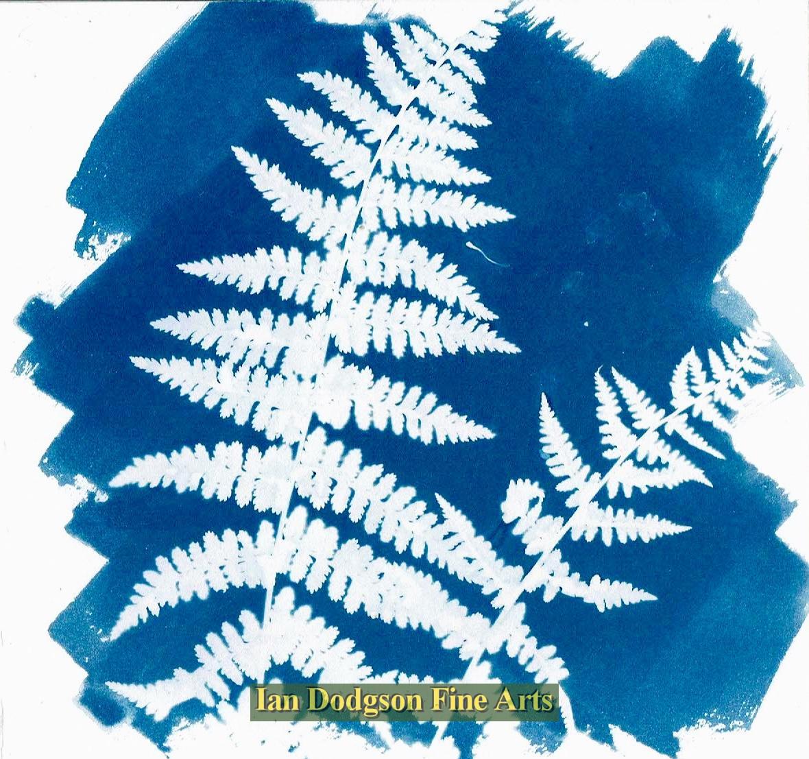 Gill Hughes - Fern 5 Cyanotype Monoprint (2018)