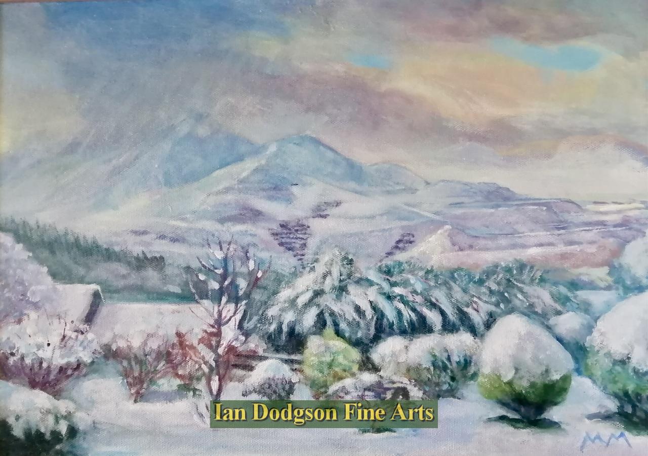 Snow over Bethesda 2026 by Martin Morley