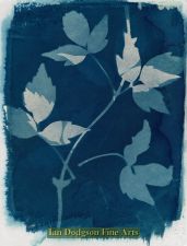 Garden Plants No3 by Gill Hughes